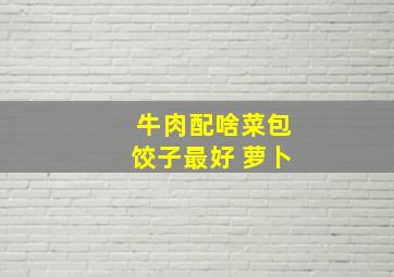 牛肉配啥菜包饺子最好 萝卜